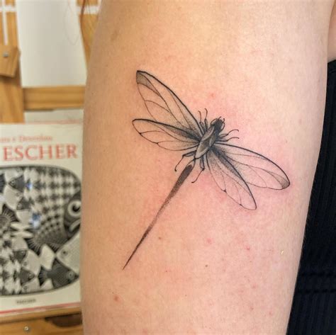 dragonfly tattoo|More.